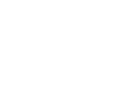 Courier Services